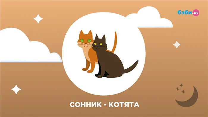 Что если снятся котята 1