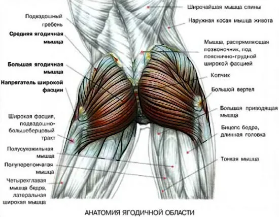 Как начать заниматься спортом дома с нуля девушке 4