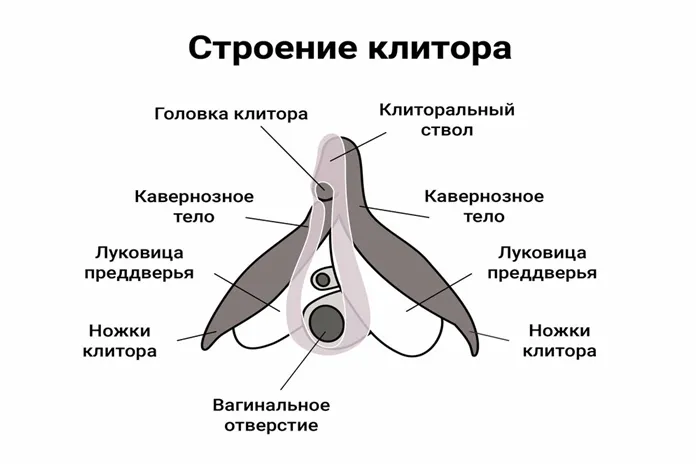 Как пользоваться сухим шампунем для волос 19