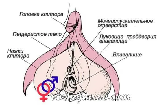 2 года какая свадьба www nur kz 18