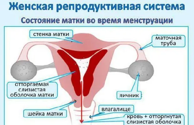 Как зашить дырку на джинсах 19