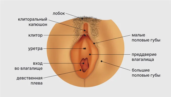 Как сделать идеальное пюре 25