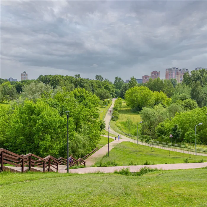 пикник в москве