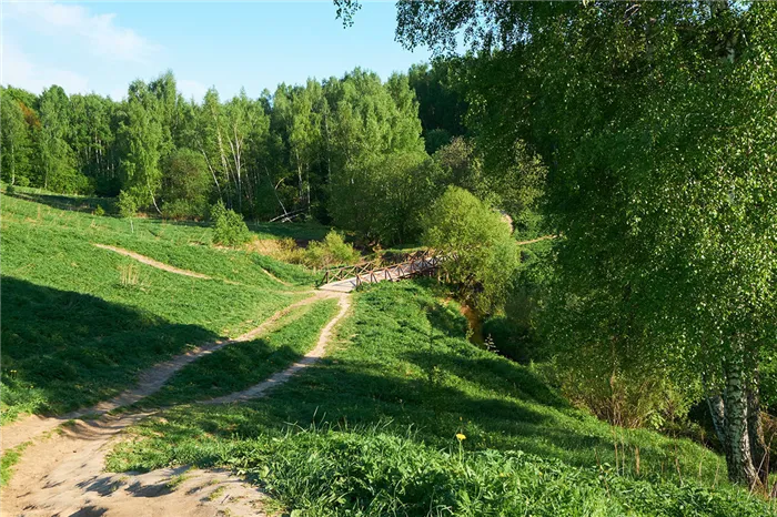 Где устроить пикник в москве 10