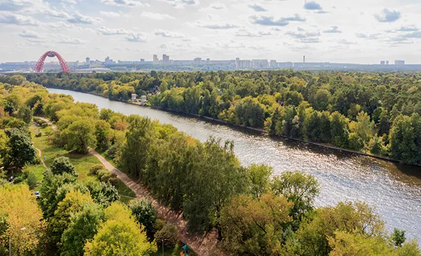 Где устроить пикник в москве 6