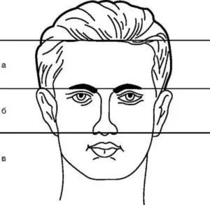 Части пропорции лица