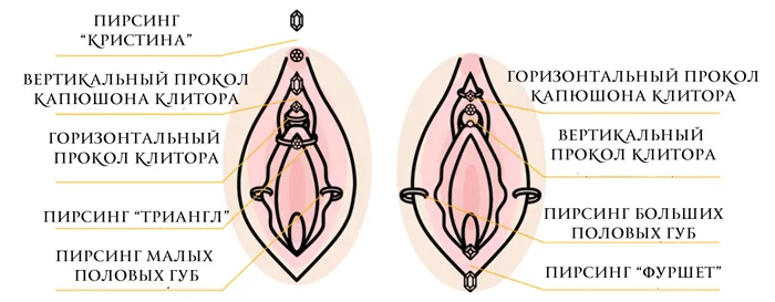 Прокол в интимной зоне как называется 3