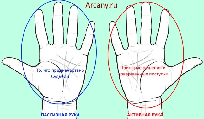 Значение буквы М на ладонях обеих рук в хиромантии