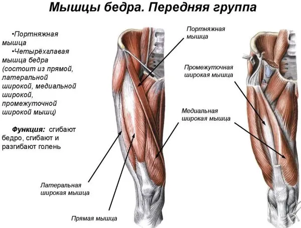 Манекен для снятия мерок