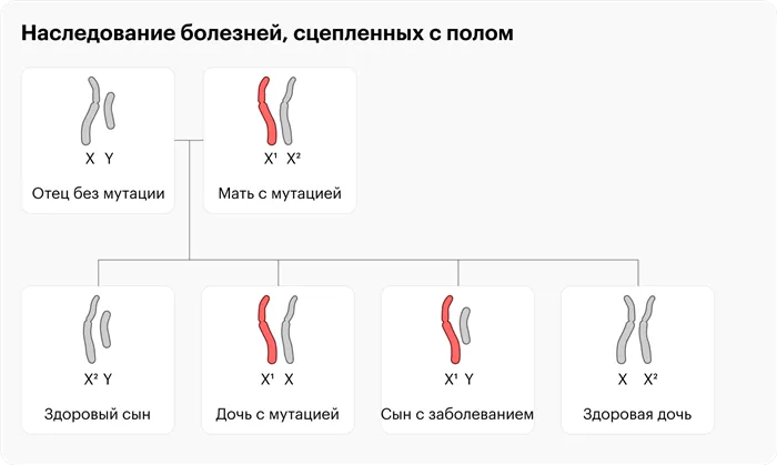 Ген альбинизма