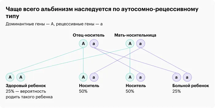 Наследование альбинизма