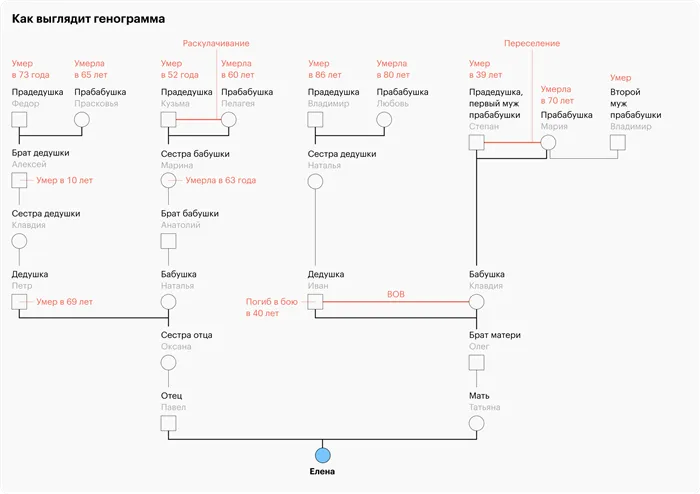 Так выглядит генограмма — схема рода, на которой отмечены все травматичные события