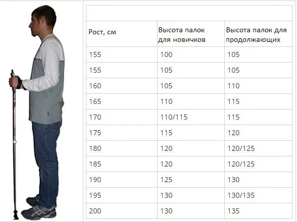 Как выбрать палки для скандинавской ходьбы для новичка 3