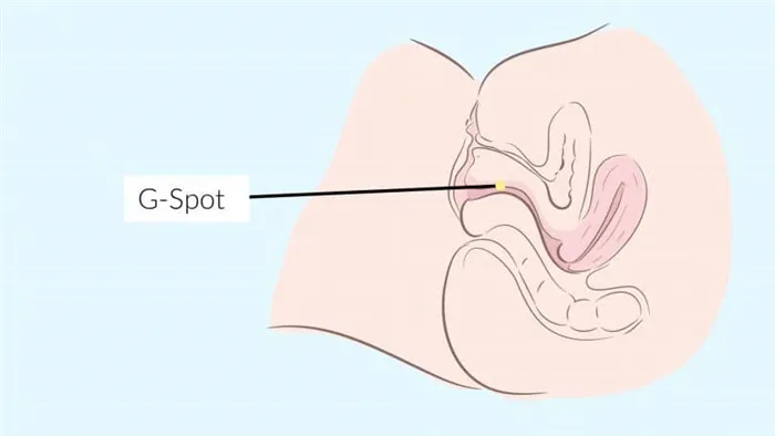 article-g-spot-non-splash-proof-orgasm-1