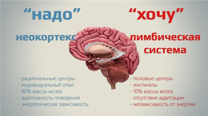 Как научиться считывать знаки Вселенной: 5 шагов, которые помогут замечать символы