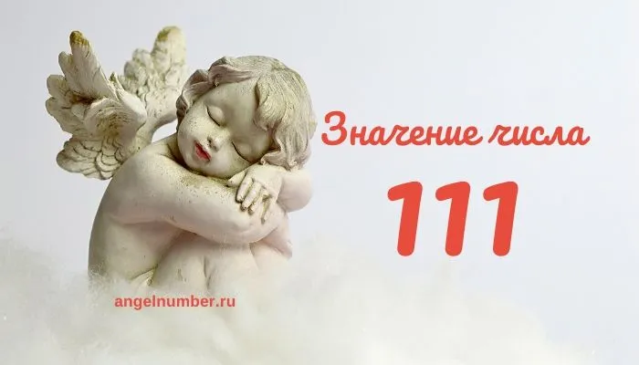 111 значение числа