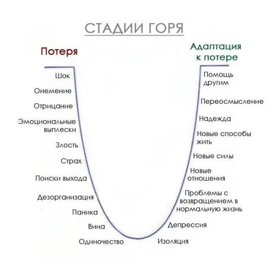 стадии горя