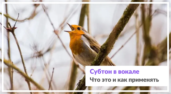 Упражнения для тренировки субтона