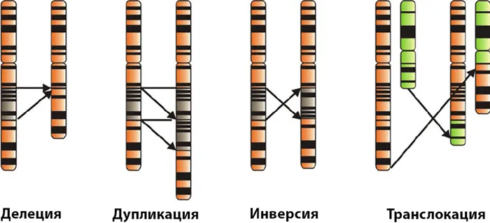 Как понять что у тебя хорошая генетика 3