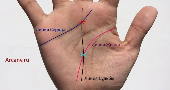 Значение Креста на ладони в хиромантии: на Холмах, пальцах, линиях