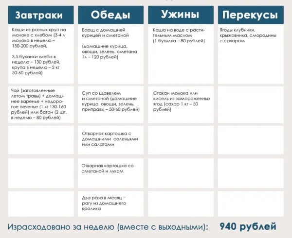 Как прожить на пенсию 4