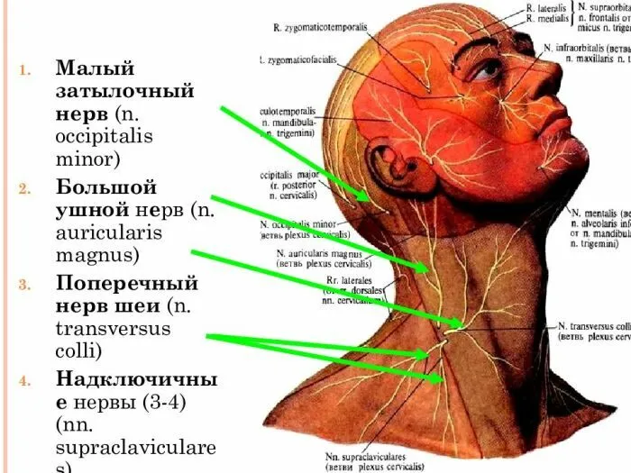 Трюк джонни кулона как работает 6