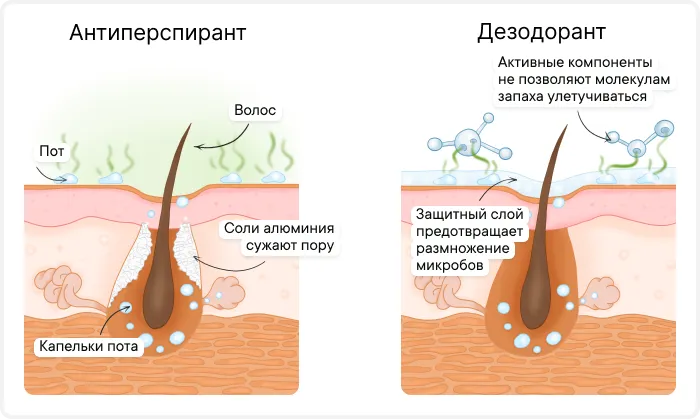 Как правильно пользоваться дезодорантом 2