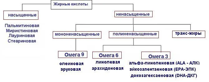 Сколько гр белка нужно в день женщине 4