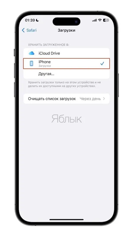 Папка Загрузки в браузере Safari для iPhone и iPad