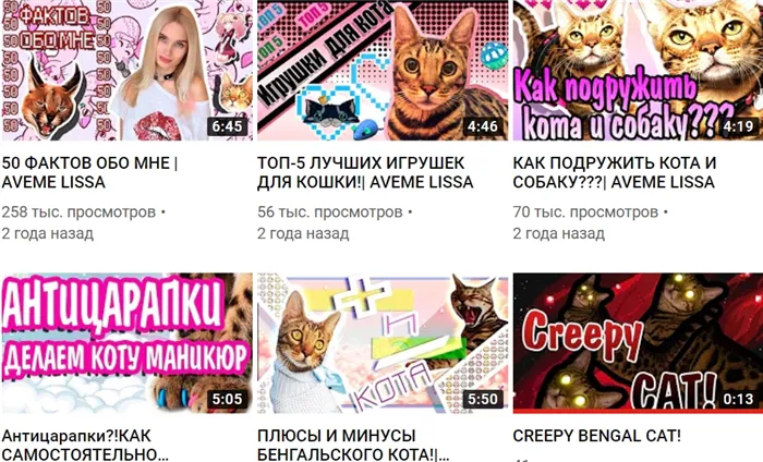 Лисса АВЕМИ видео про кота