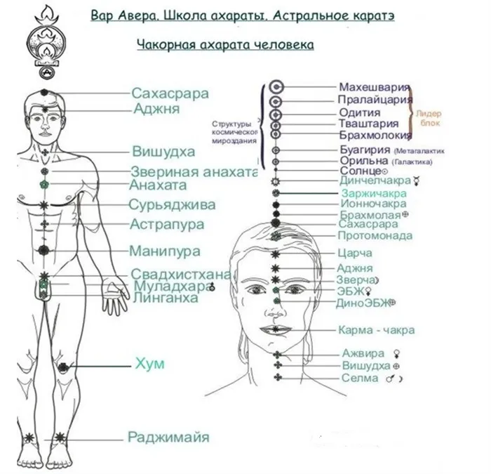 Схема человеческого тела и головы с обозначением расположения более 30 чакр